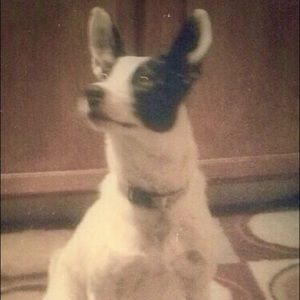 Meet your Posher, Lorraine